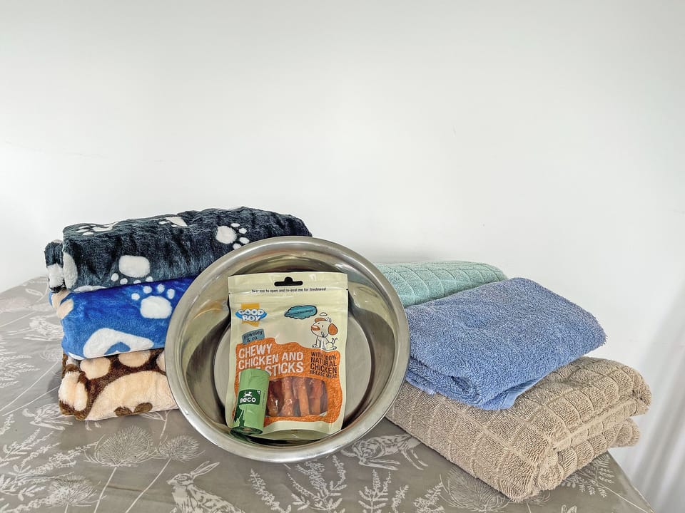 Dog friendly | Blue House, Elsdon