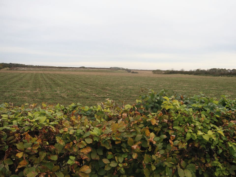 Lighthouse View, Flamborough near Bridlington