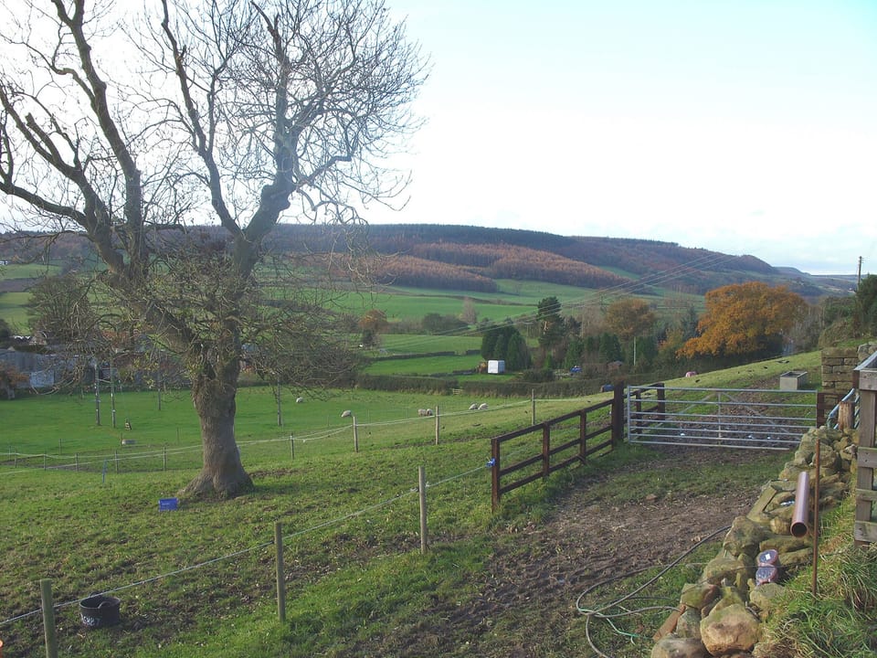 The Old Granary Cottage, Harwood Dale
