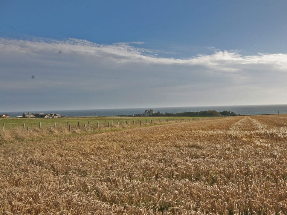 View from house | Curlew Croft, North Keiss, Caithness