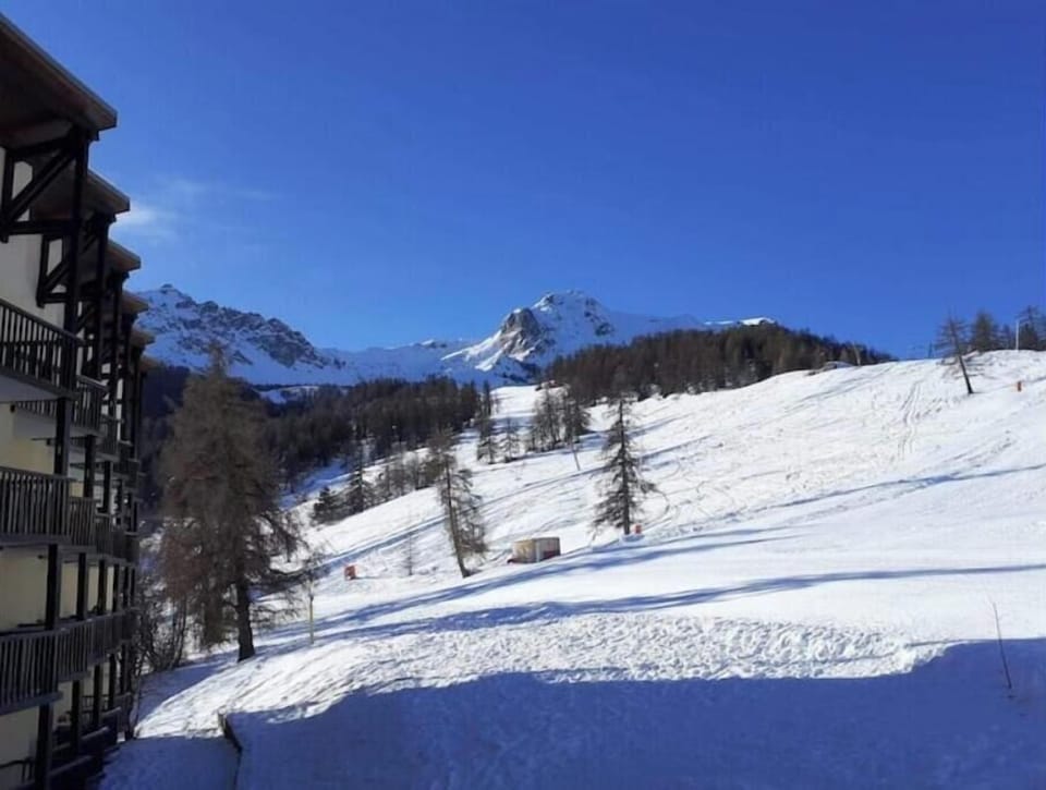 Snow and ski sports