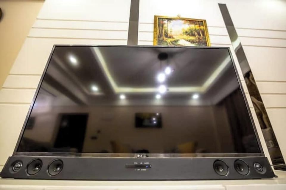 Television
