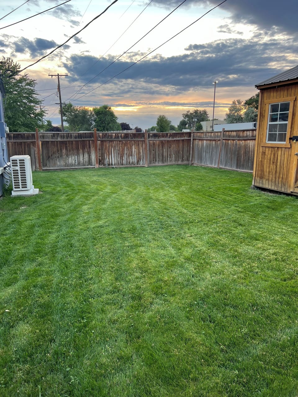 Full backyard 