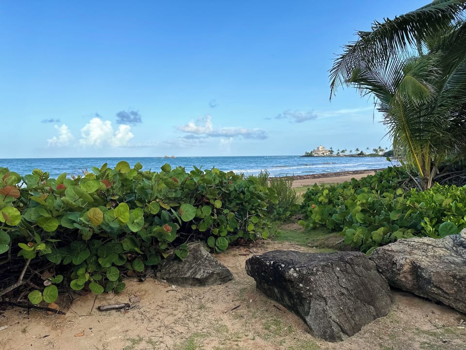 Beach