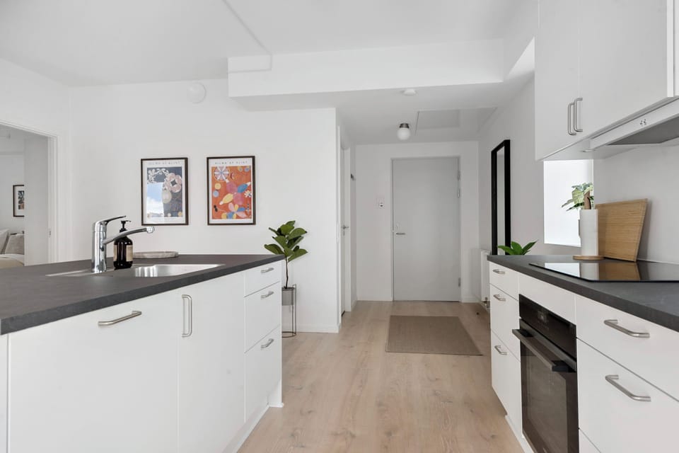 Kitchen and entrance