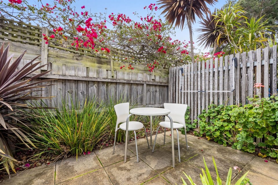 Rear Courtyard