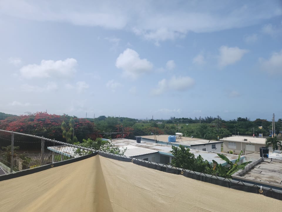 One of our views on our terrase.