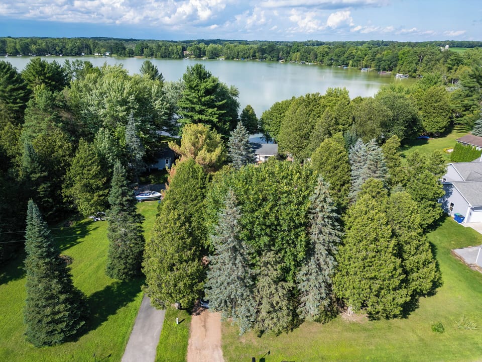 Aerial view facing the lake, showing the privacy trees from the main road