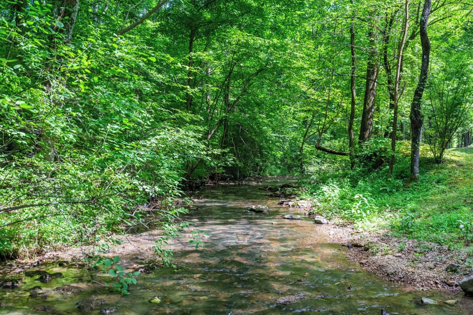 wade in the creek while you are here!