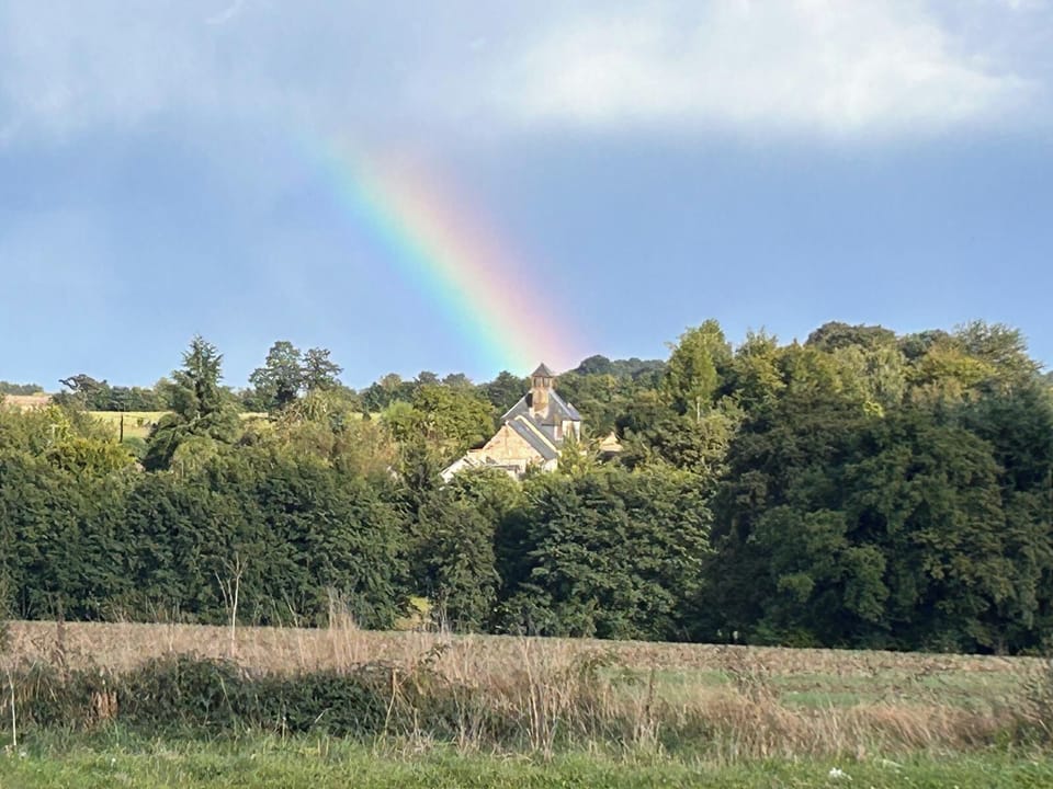 Image 31