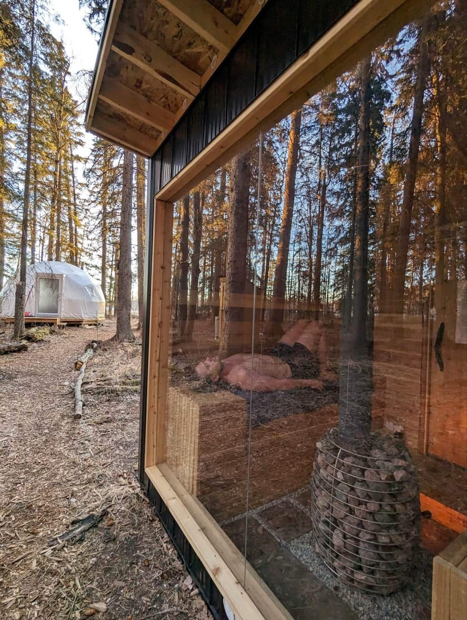 Boreal forest nordic sauna 