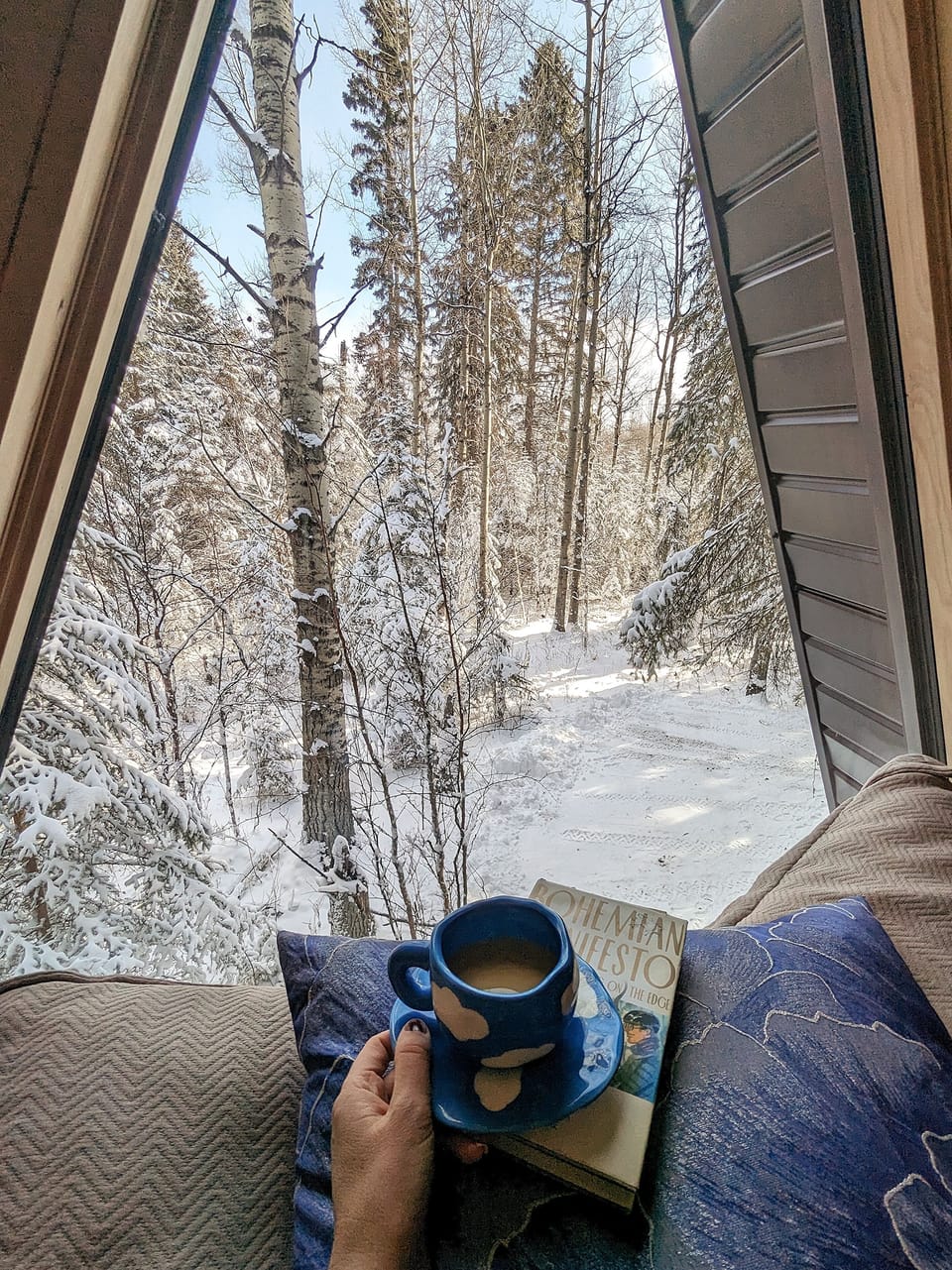 Fern loft views