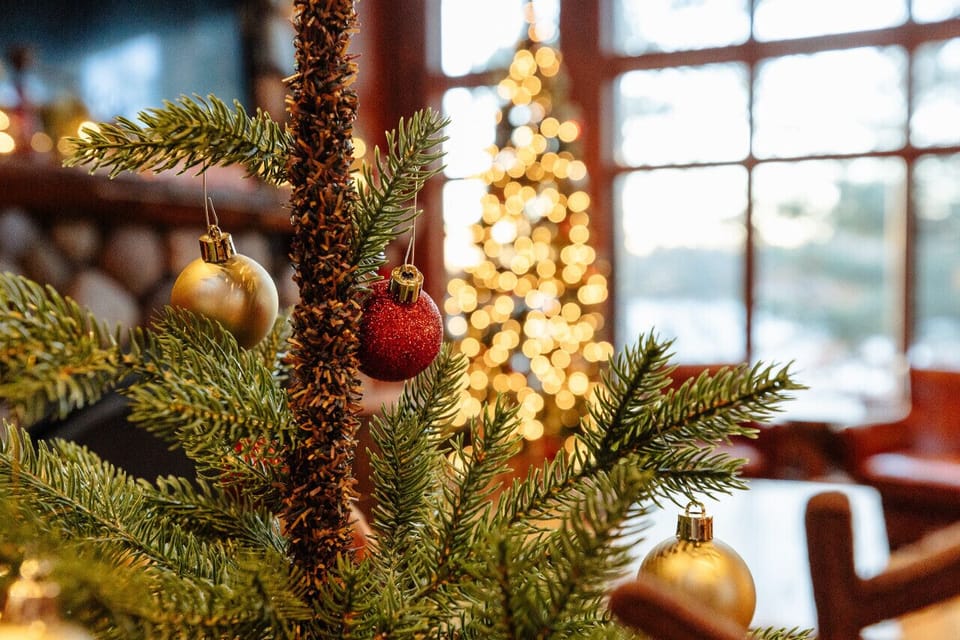 The holidays at the Lodge House.