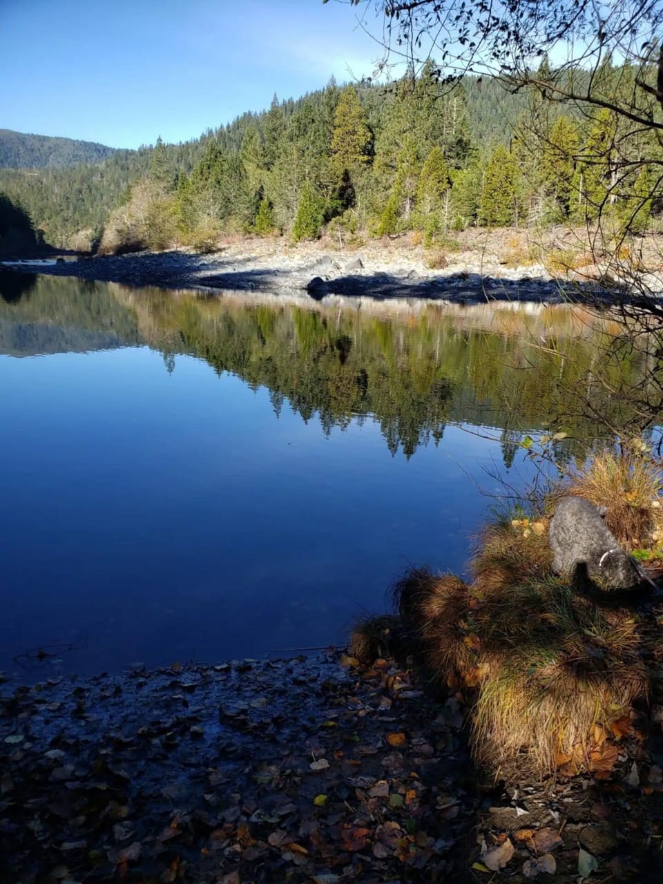 Smith River: closest access point is a 3 minute walk from the cabin at Margie's.