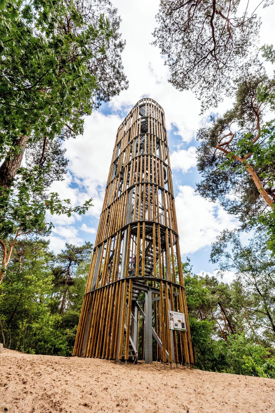 Tower Among Trees: Climb High for a Bird's Eye View - Visit Brabant