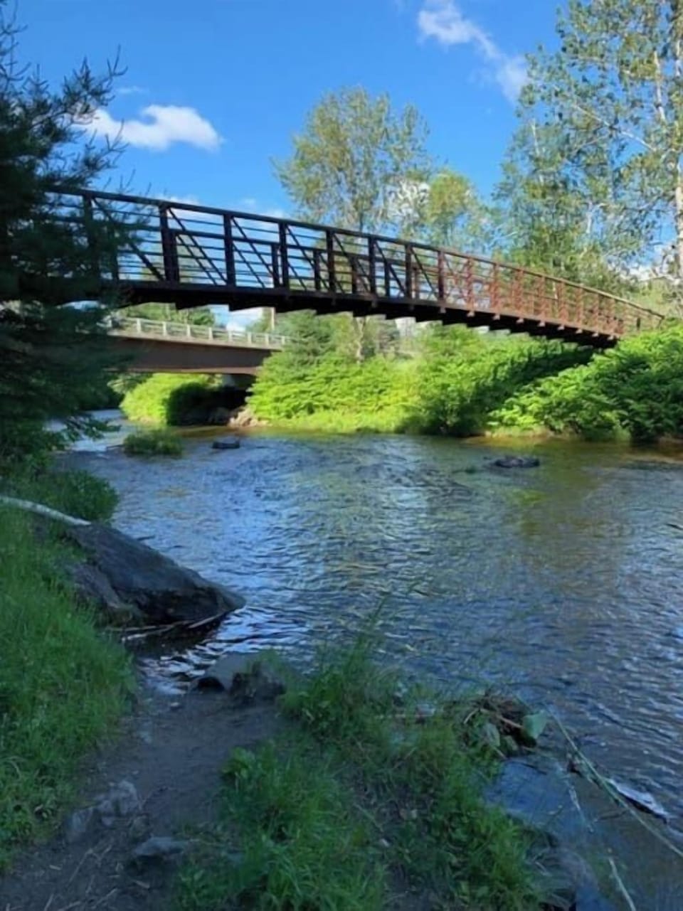 Bright Cozy One Bedroom, Amazing Stowe location (1083)