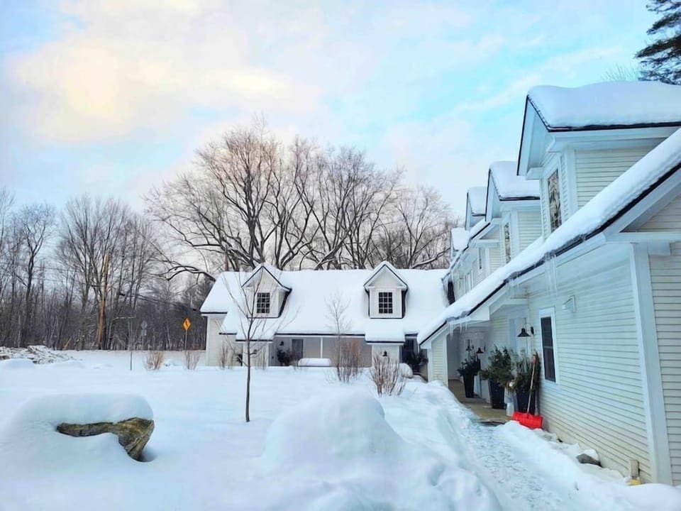 Bright Cozy One Bedroom, Amazing Stowe location (1080)