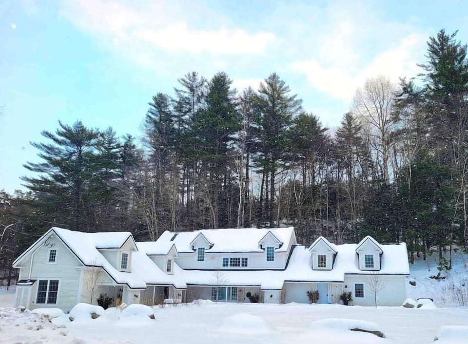 Bright Cozy One Bedroom, Amazing Stowe location (1081)