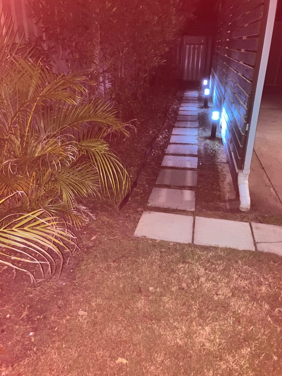Solar light pathway to Studio entrance