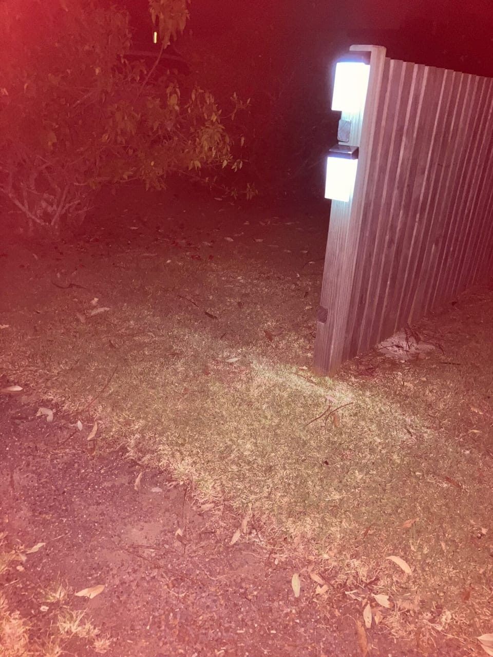 Solar light walkway to Studio. Wildlife friendly