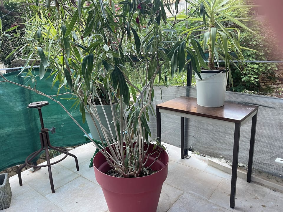 Terrace/patio