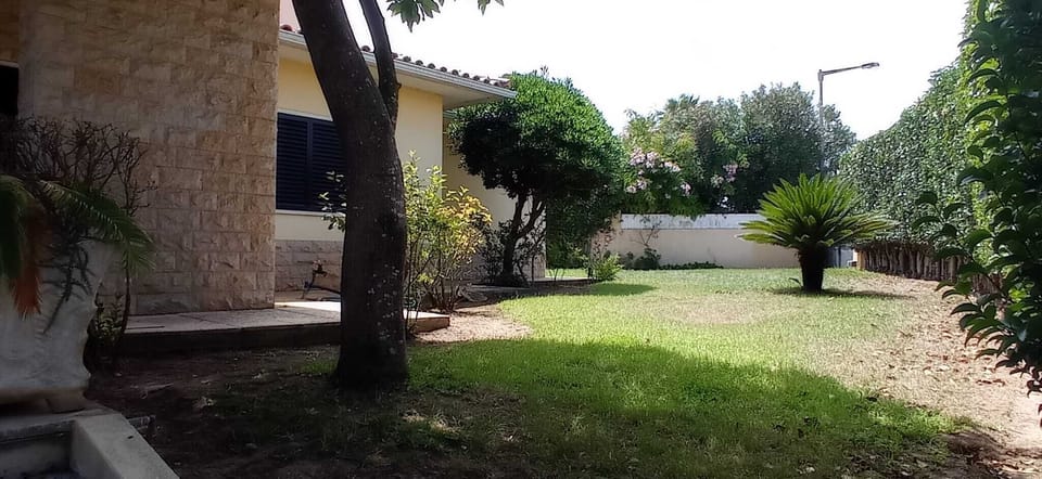 Jardim