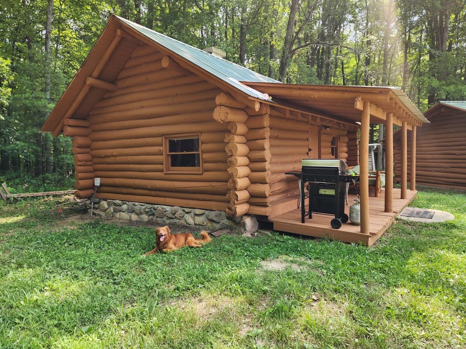 Outdoor area with propane gas grill
