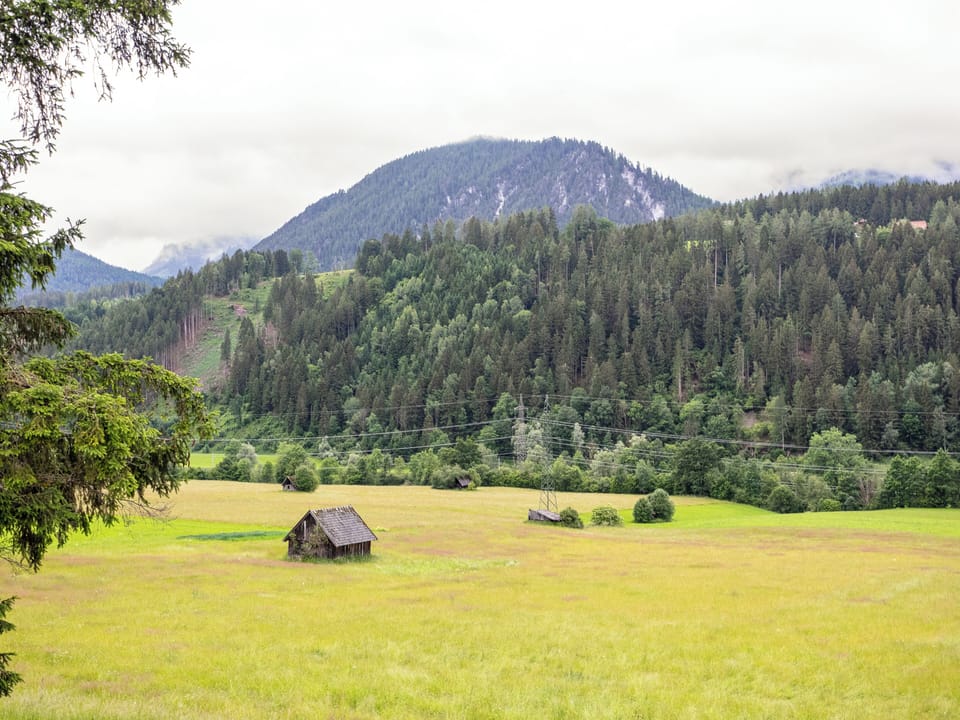 View from Holiday Home [summer]