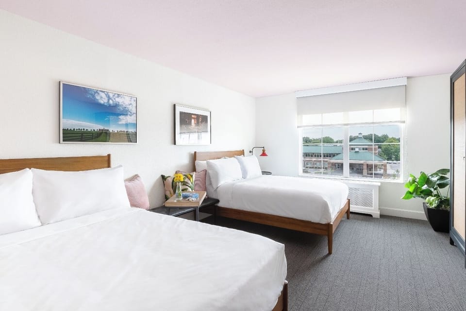 Unwind in a bright double-queen room with airy views.