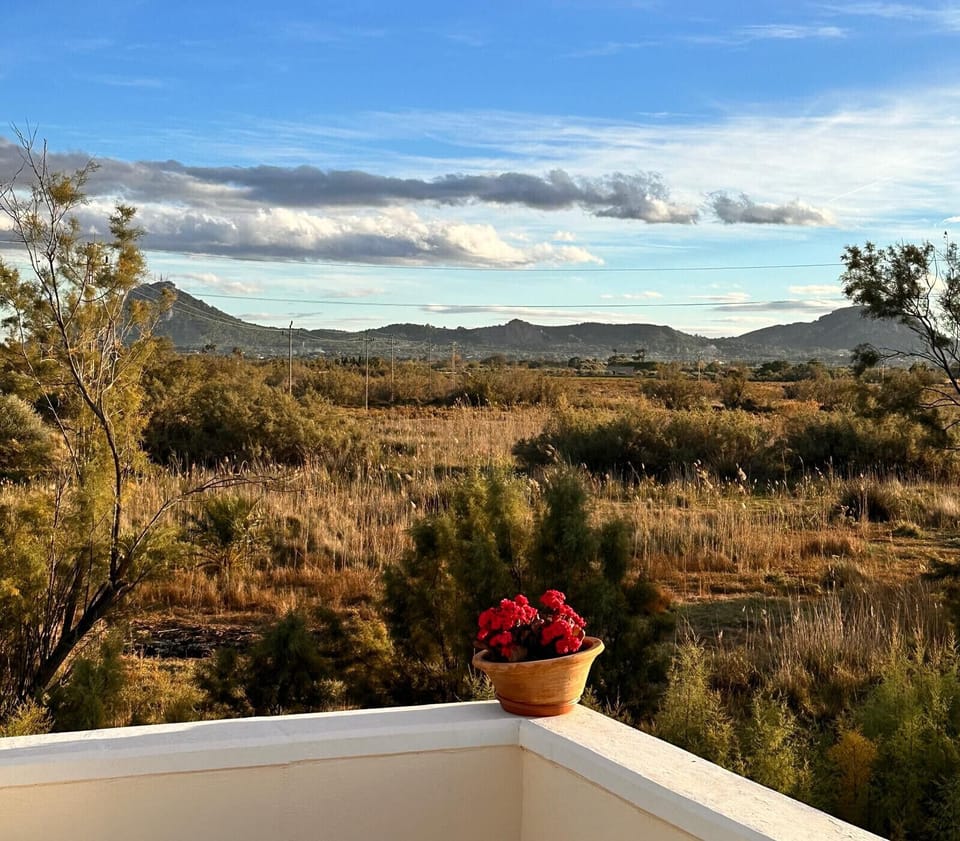 Balcony with open views of the countryside and mountains, featuring a decorative flower pot.