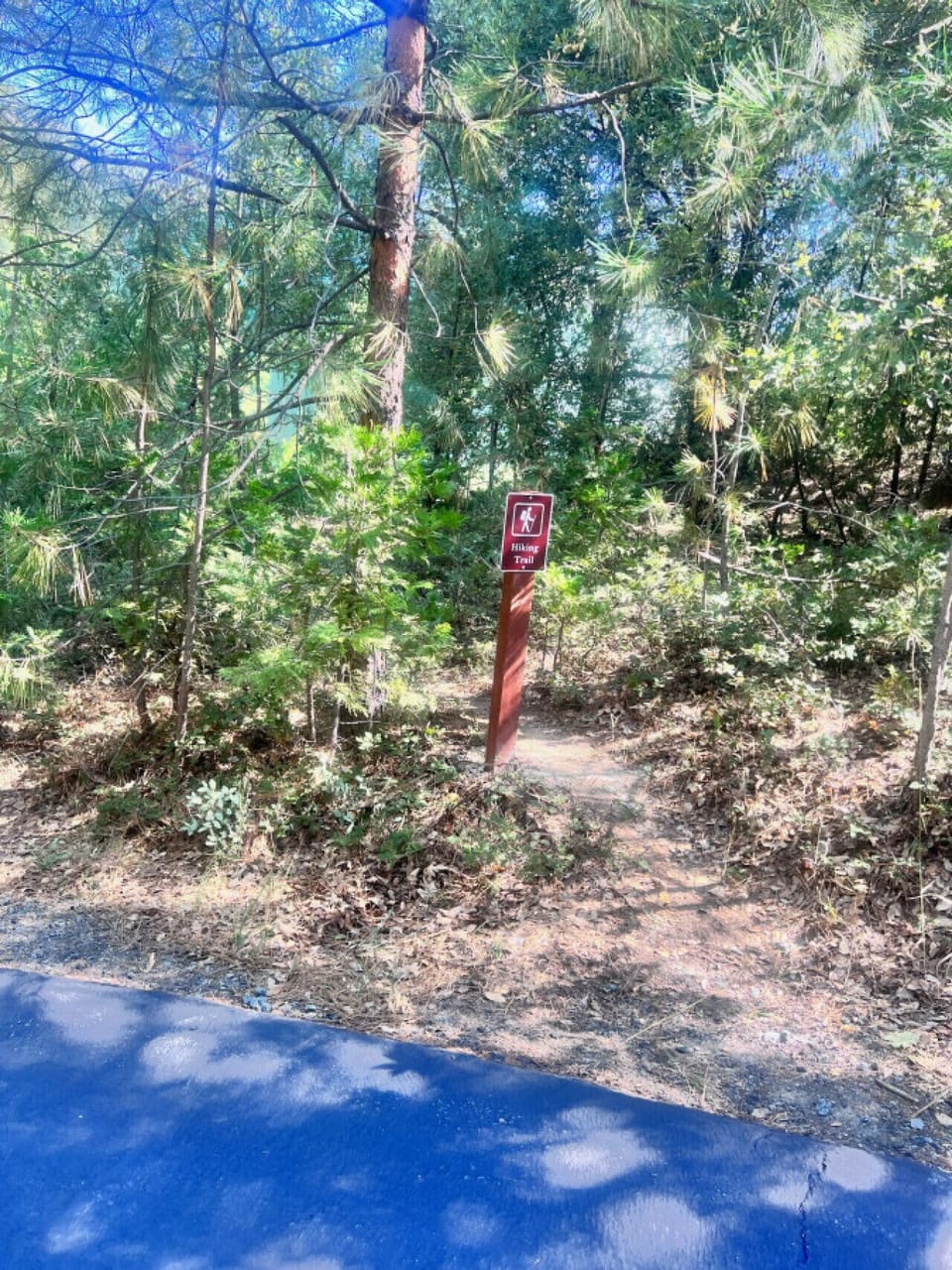 Hiking trails off the driveway