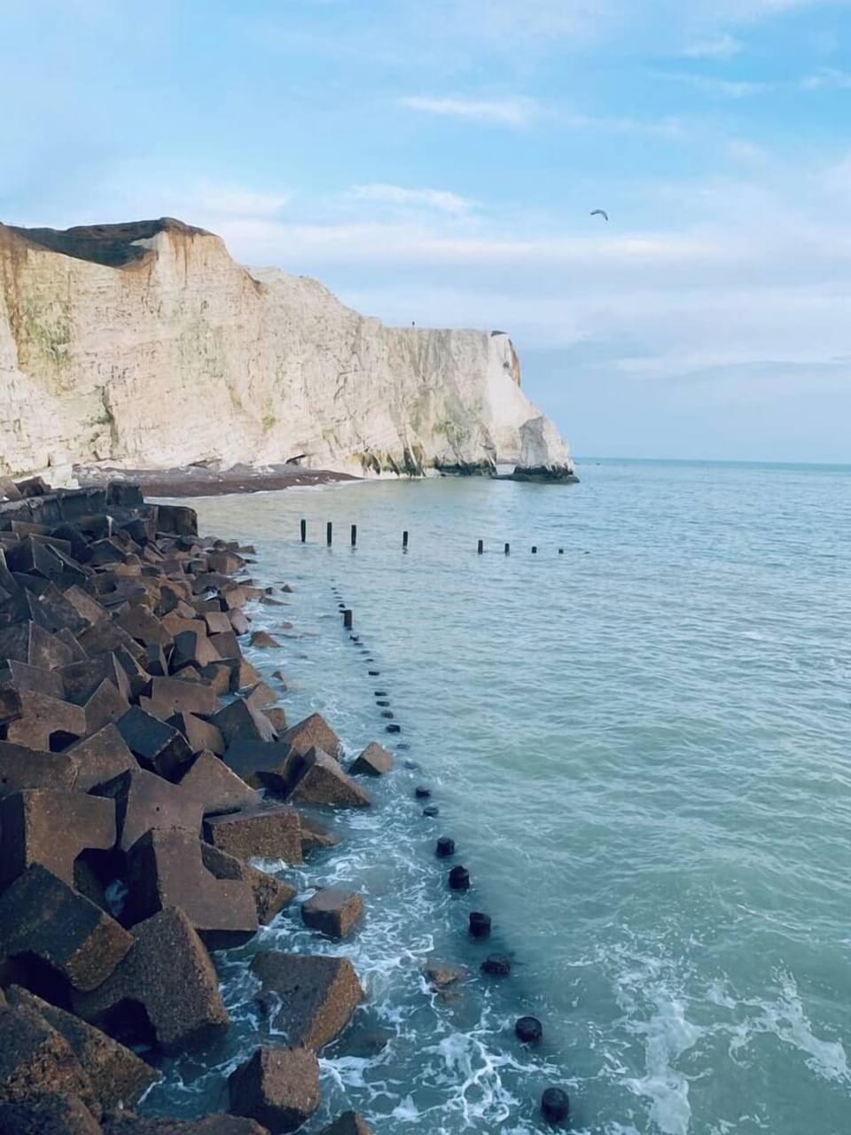 Local Beaches (3)