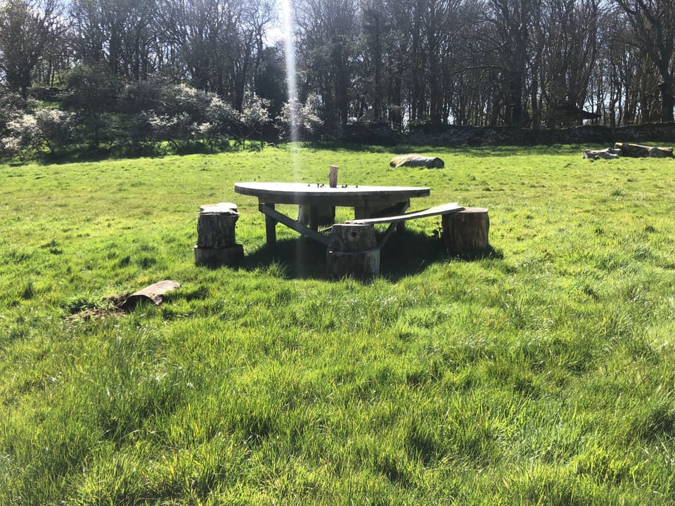 Image 14