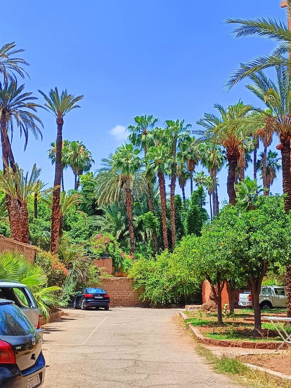 Les vastes jardins de la résidence sont un véritable éden devant Majorelle