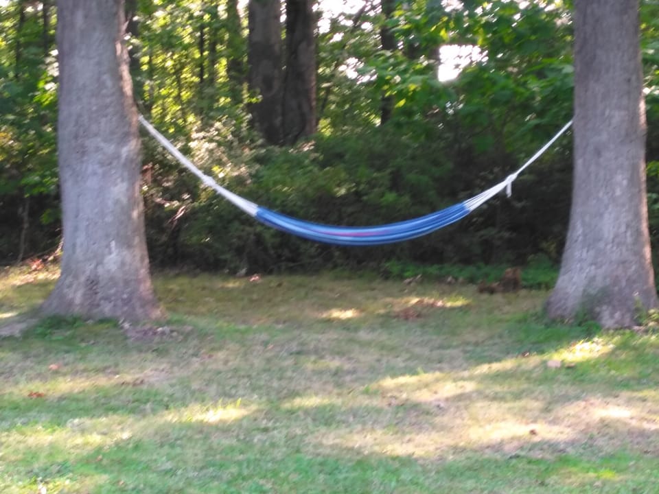 nap anyone?
