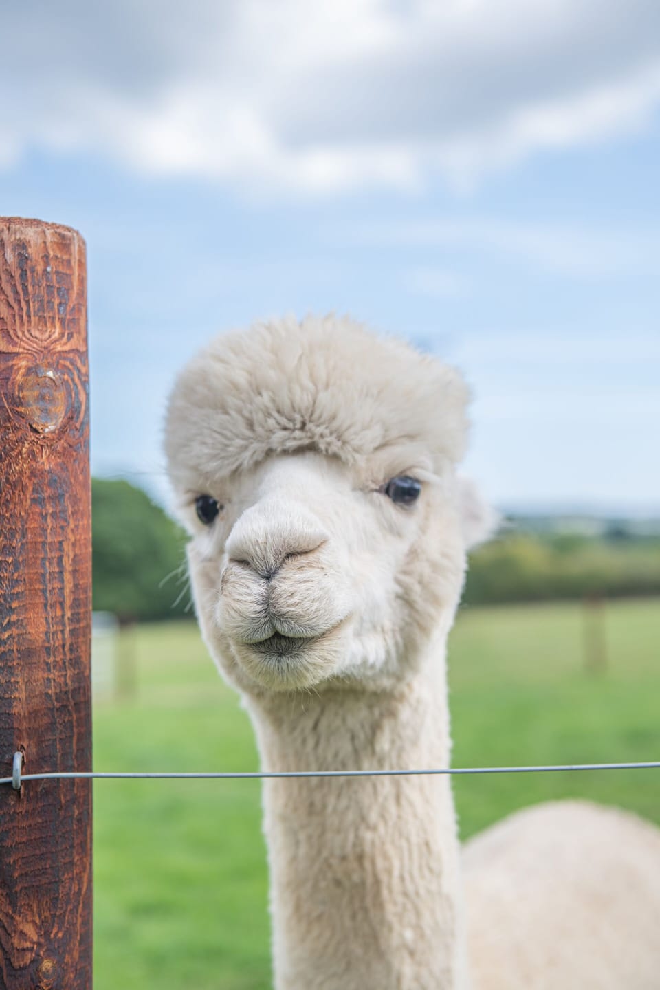 A unique countryside experience you won’t find in a hotel