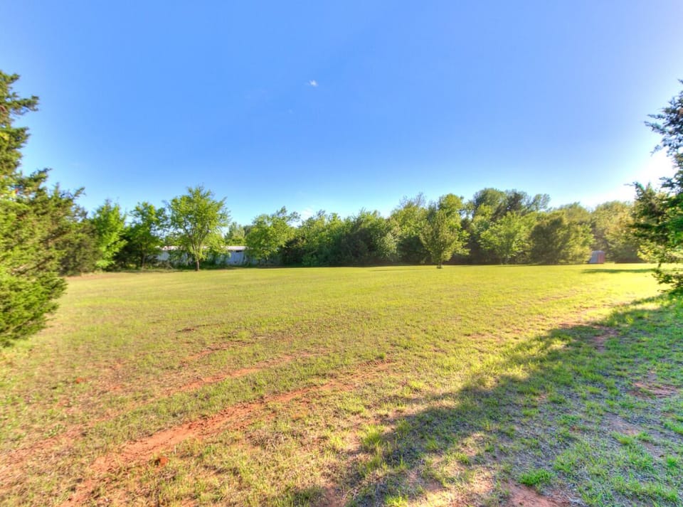 Open field. Kickball?