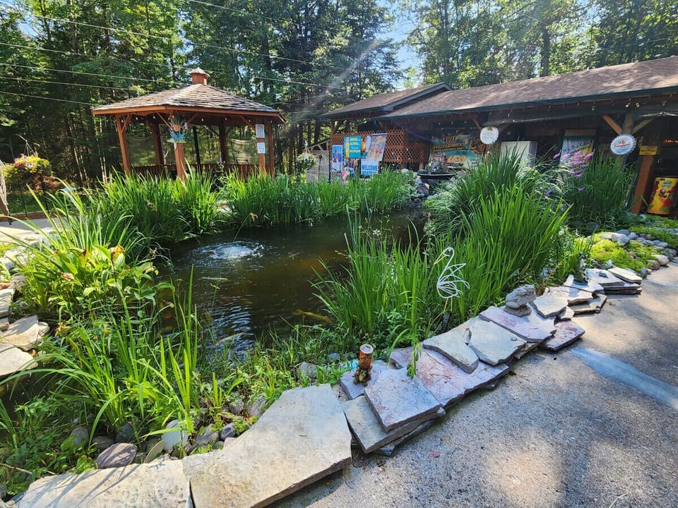 Relax near the koi pond at our on site tiki bar