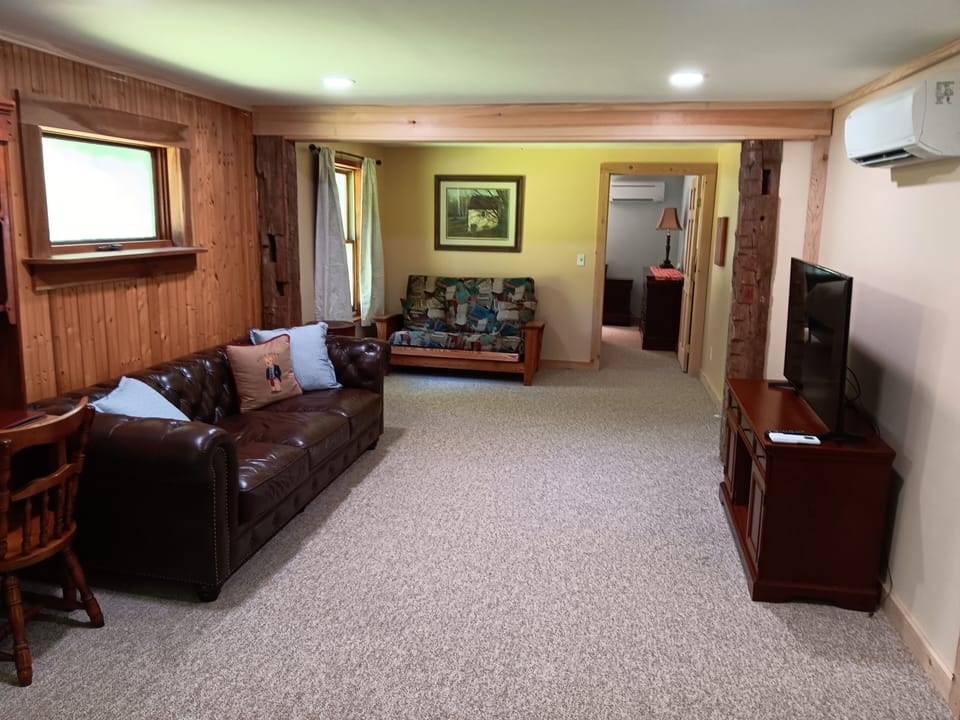 Living room with pull out couch