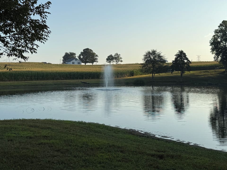Pond