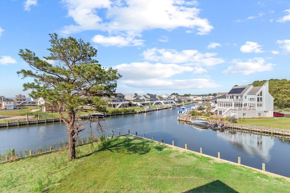 Looking from the Top Deck to the yard below.
