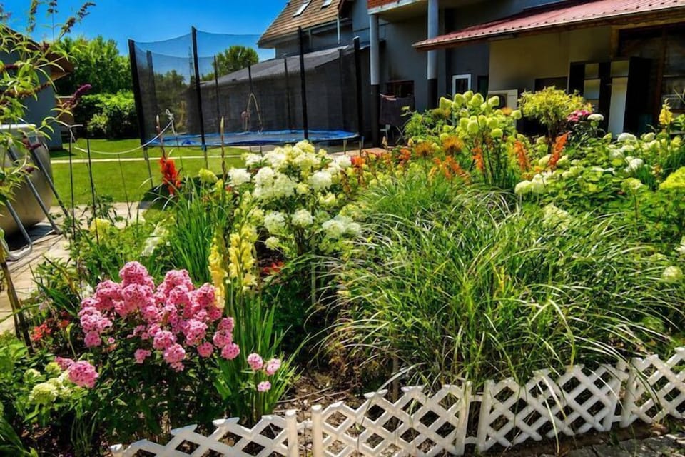 Garden [summer]