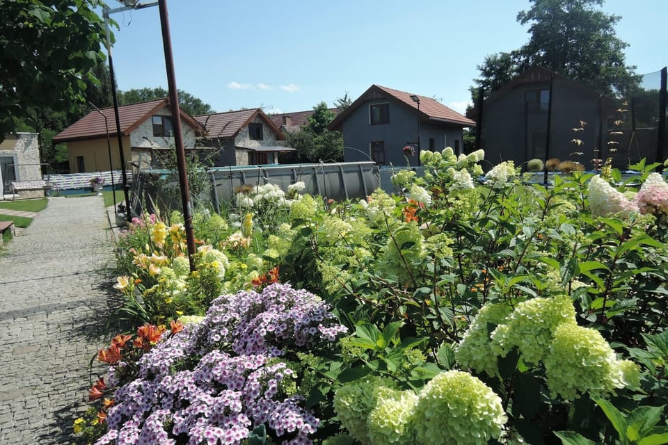Garden [summer]