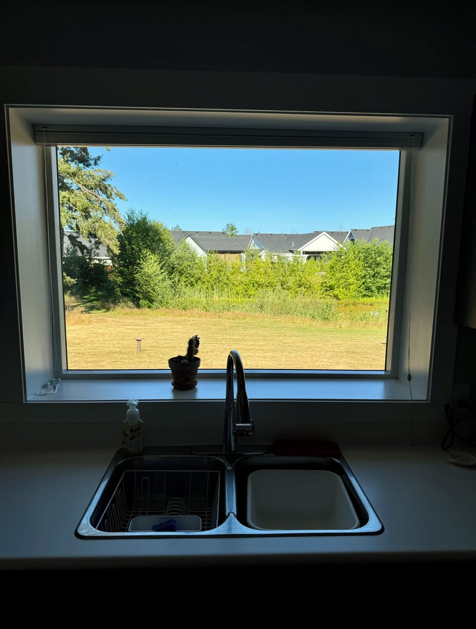 The view of the pond