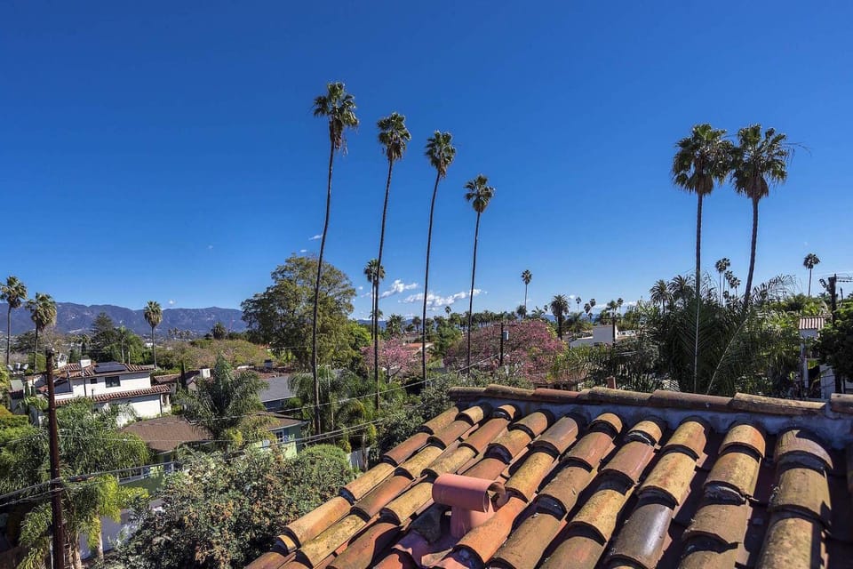 Palm trees & mountain views