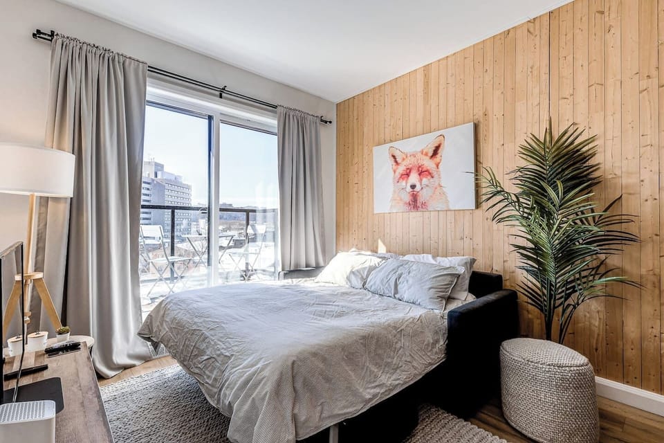 Living room with sofa bed