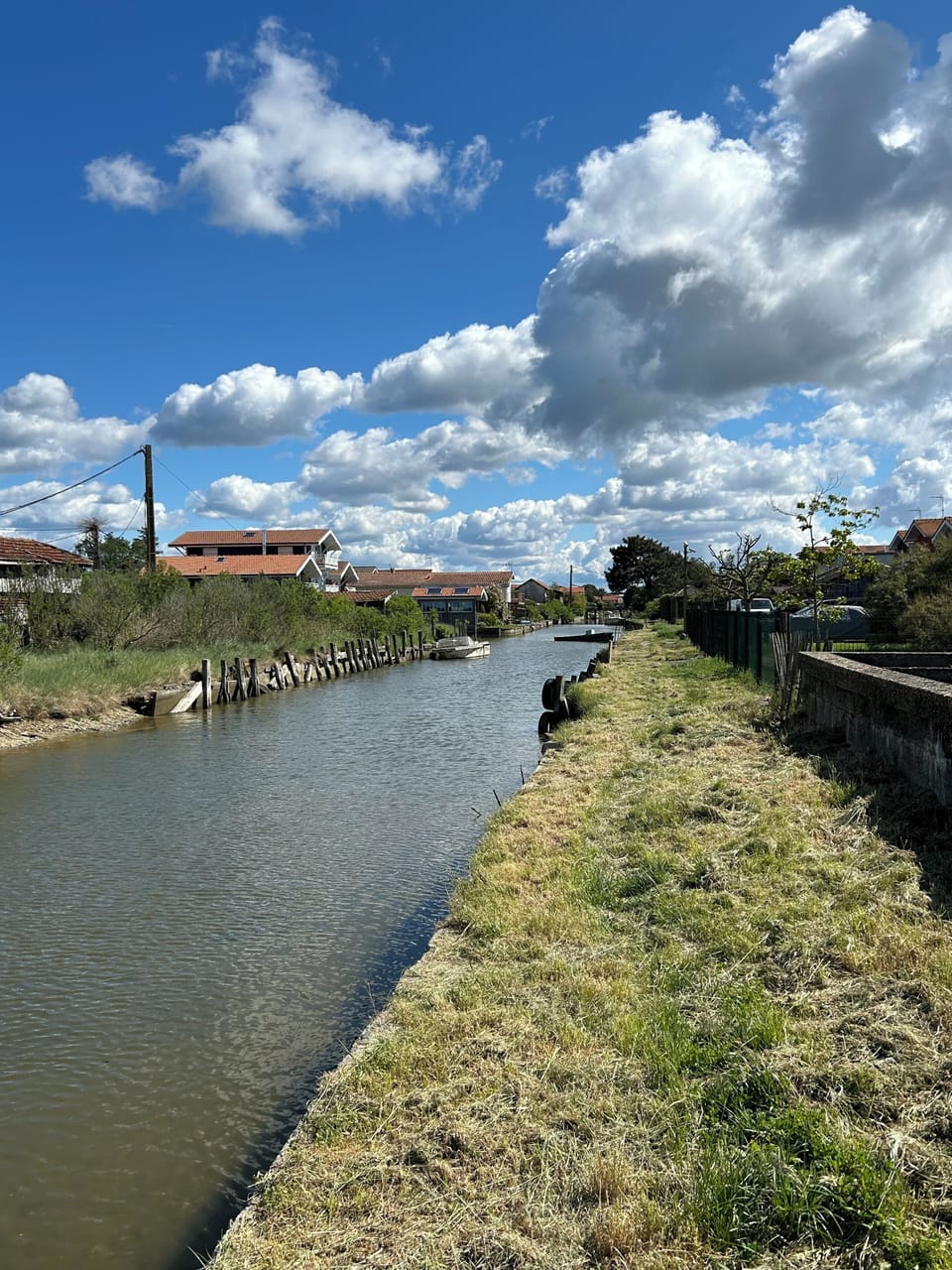 Miscellaneous