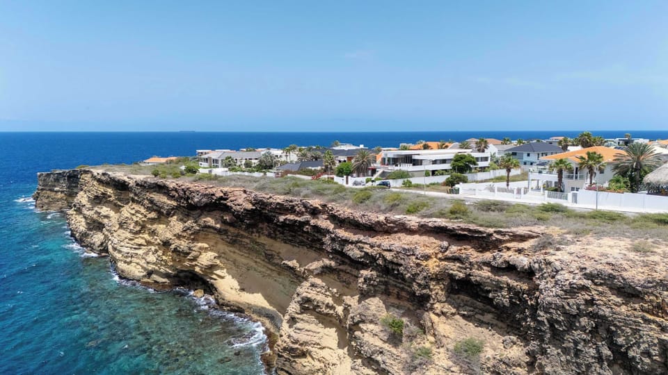 Drone View
