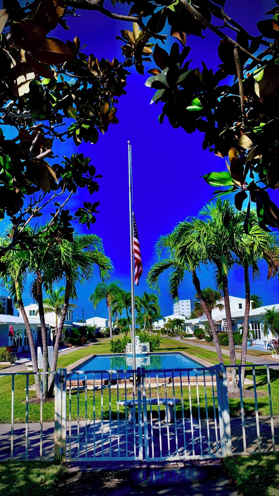 Reflecting pool in front of our unit. 