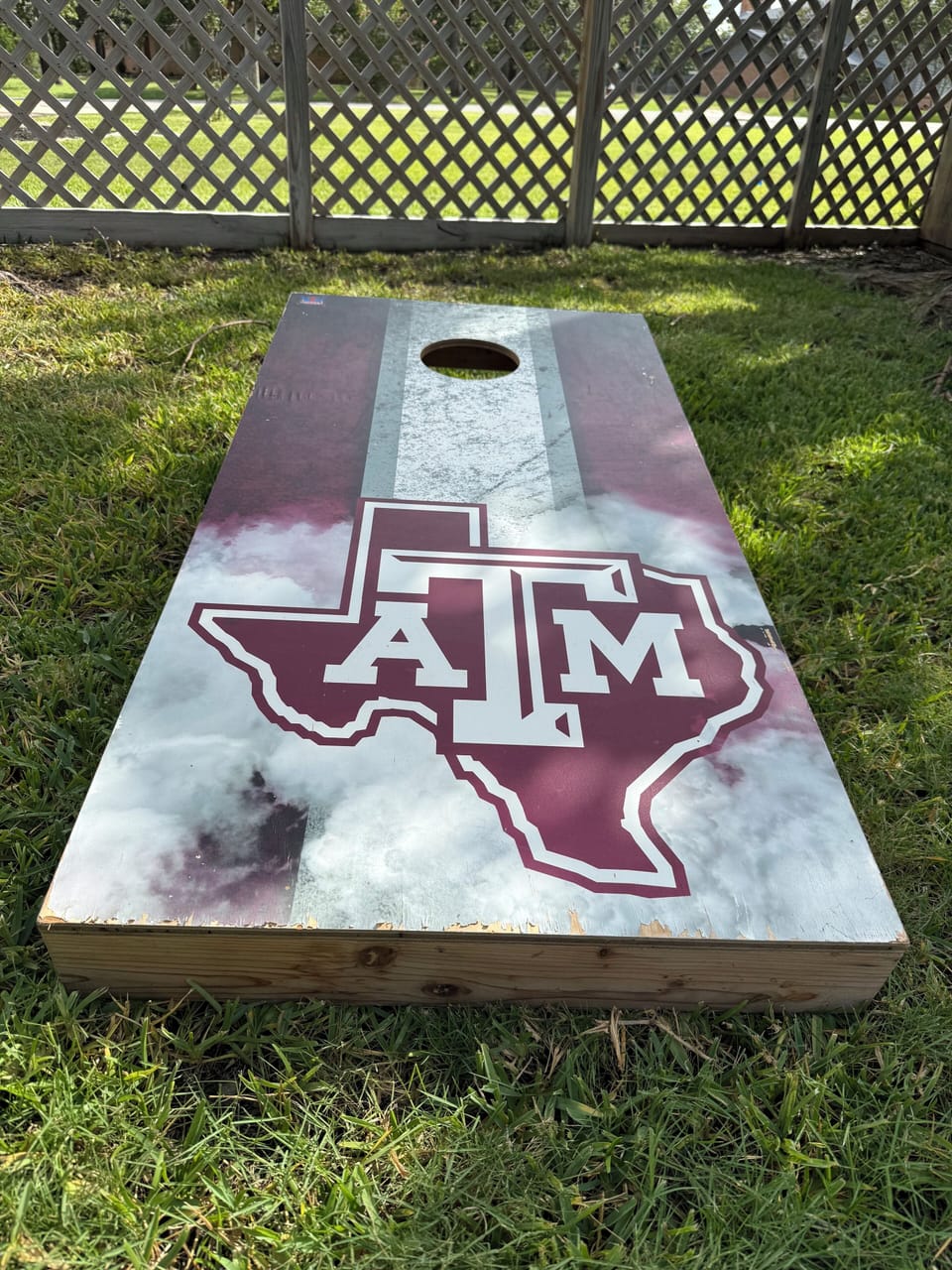 Full Size Cornhole Boards (w bags)